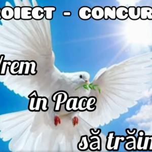 Proiect- concurs: Vrem în pace să trăim