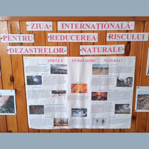 Ziua internațională pentru reducerea riscului dezastrelor naturale