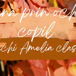 Concursului Internațional “Toamna prin ochi de copil”