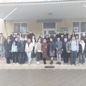 Testarea Competențelor Digitale – etapa de pilotare